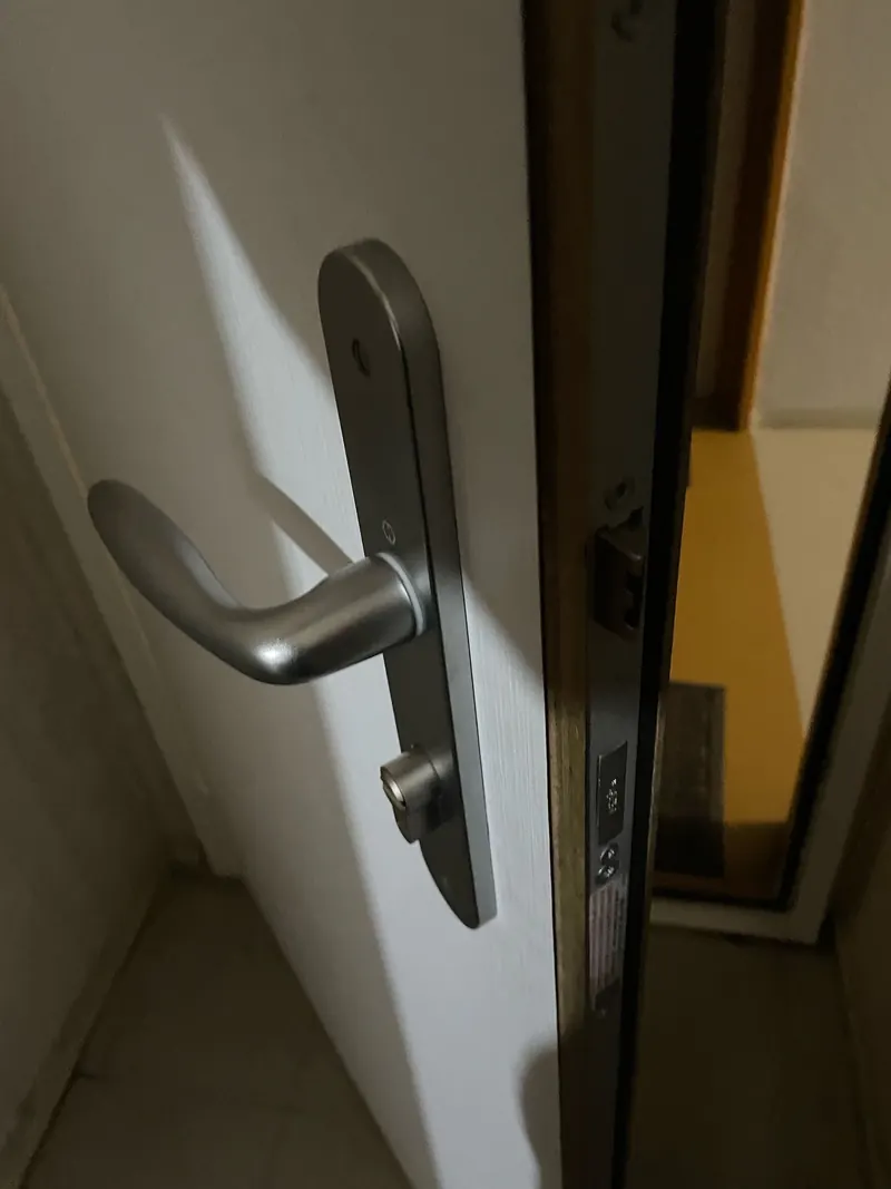 Plaque de poignée et cylindre sur une porte d'entrée, photo d'une intervention de France Serrures